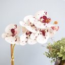 Ver imagem 4 de Kit com 2 Arranjos Flor Artificial Orquídea Tigre e Peperômia no Vaso de Vidro Bronze