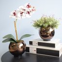 Ver imagem 1 de Kit com 2 Arranjos Flor Artificial Orquídea Tigre e Peperômia no Vaso de Vidro Bronze