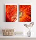 Ver imagem 2 de Kit 2 Quadros Flor e Folha Modernos Laranjas 24x18cm:madeira Branca