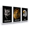 Decoração Escritório Quadros Leão Lobo Águia Moldura - 1