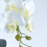 Arranjo de Orquídeas Artificiais Brancas em Vaso Preto Fosco - 3