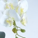 Ver imagem 3 de Arranjo de Orquídeas Artificiais Brancas em Vaso Preto Fosco