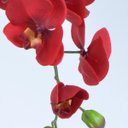 Ver imagem 2 de Arranjo de Orquídea Vermelha em Vaso Branco Fosco