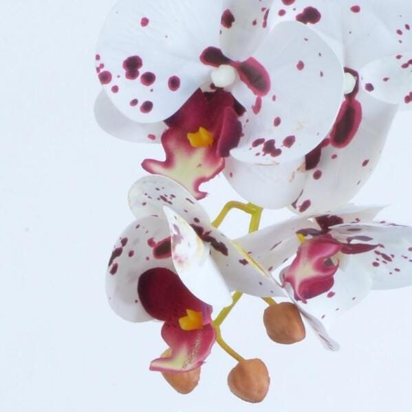 Arranjo de Orquídea Artificial Tigre em Cachepô Lily - 2