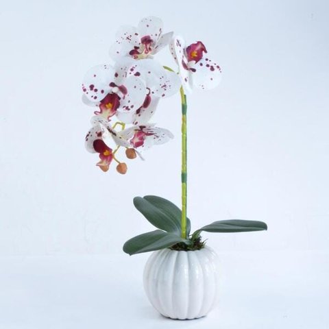 Arranjo de Orquídea Artificial Tigre em Cachepô Lily
