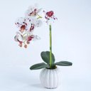Ver imagem 3 de Arranjo de Orquídea Artificial Tigre em Cachepô Lily