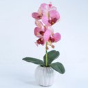 Ver imagem 3 de Arranjo de Orquídea Artificial Rosa em Cachepô Gabi