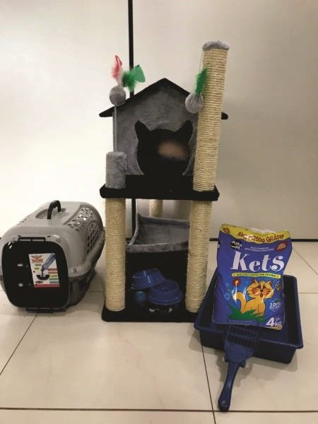 Arranhador Kit Para Gato Casa Com Rede Cinza - 1