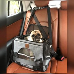 Bolsa de transporte pet avião para cães e gatos luxo - Cinza - 5