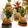 Cachepô vaso para kokedama Entalhes Bronze - 2