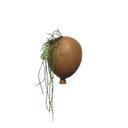 Ver imagem 5 de Bexiga Balões De Parede Porta Suculentas E Flores