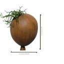 Ver imagem 2 de Bexiga Balões De Parede Porta Suculentas E Flores