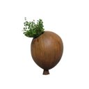 Ver imagem 3 de Bexiga Balões De Parede Porta Suculentas E Flores