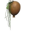 Ver imagem 1 de Bexiga Balões De Parede Porta Suculentas E Flores