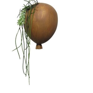 Bexiga Balões De Parede Porta Suculentas E Flores