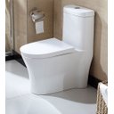 Ver imagem 1 de Vaso Sanitário Acoplado (monobloco) Smart 225