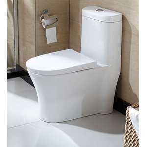 Vaso Sanitário Acoplado (monobloco) Smart 225