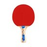 Raquete de Tênis de Mesa Klopf - Shark 2 estrelas - Ping Pong - 2