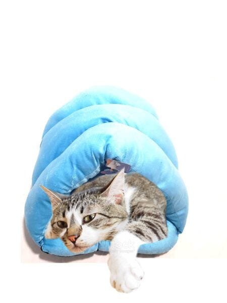 Cama Pet Para Gatos Pequeno Casulo Saco de Dormir Caverna: Azul - 1