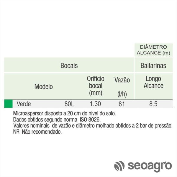 Microaspersor Raintec Verde 80L Longo Alcance - Kit com 50 - 2