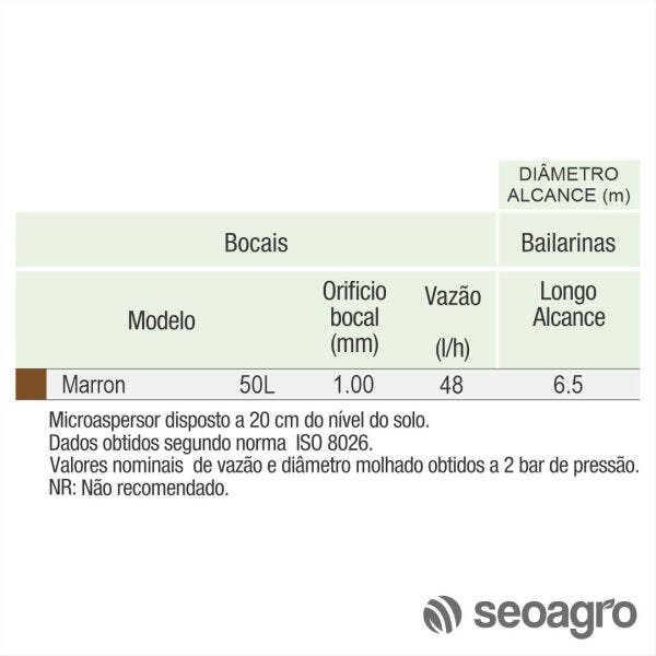 Microaspersor Raintec Marrom 50L Longo Alcance - Kit com 50 - 2