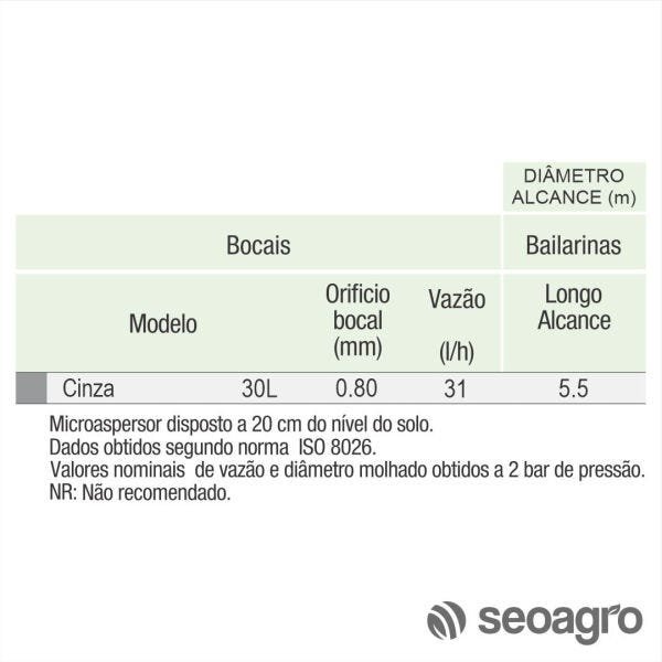 Microaspersor Raintec Cinza 30L Longo Alcance - Kit com 50 - 2