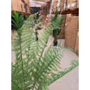 Ver imagem 5 de Planta Artificial Samambaia Samambaiaçu Grande para Sala com 120cm