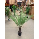 Ver mais imagens de Planta Artificial Samambaia Samambaiaçu Grande para Sala com 120cm