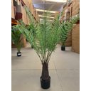 Ver imagem 4 de Planta Artificial Samambaia Samambaiaçu Grande para Sala com 120cm