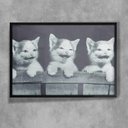 Ver imagem 1 de Quadro Decorativo Animais 18 - Gatinhos-24x34Cm