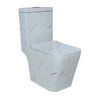 Vaso Sanitário Confort Plus Marmorado - Caixa Acoplada - 9