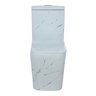 Vaso Sanitário Confort Plus Marmorado - Caixa Acoplada - 6