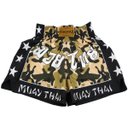 Ver imagem 4 de Kit Boxe Muay Thai Fheras Top EUA (03000956)