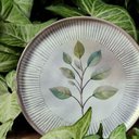 Ver imagem 5 de Aparelho de Jantar 18 Peças Cerâmica Porto Brasil Orgânico Mesa Posta Bio Evergreen Latte