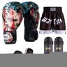 Kit Boxe Muay Thai Fheras Top EUA (03001041) - 1