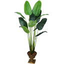Ver imagem 1 de Arvore Planta Verde Palmeira Ravenala Luxo 160cm Artificial