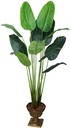 Ver imagem 1 de Arvore Planta Verde Palmeira Ravenala Luxo 160cm Artificial