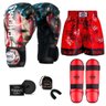 Kit Boxe Muay Thai Fheras Top EUA (03001097) - 1