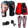 Kit Boxe Muay Thai Fheras Top EUA (03001128) - 1