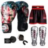 Kit Boxe Muay Thai Fheras Top EUA (03001145) - 1