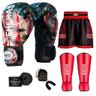 Kit Boxe Muay Thai Fheras Top EUA (03001222) - 1