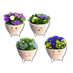 Vaso Cachepot Carinha Tripé M Kit 4un para Suculenta e Cacto - 1