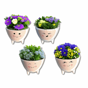 Vaso Cachepot Carinha Tripé M Kit 4un para Suculenta e Cacto