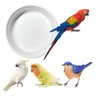 2 Unid Comedouro Porcelana P/ Passarinho Cacatua Aves (308) - 3