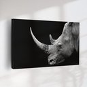 Ver imagem 2 de Quadro Decorativo Rinoceronte Fundo Preto