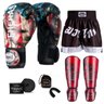 Kit Boxe Muay Thai Fheras Top EUA (03001158) - 1