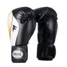 Kit Boxe Muay Thai Fheras Top Horus (03003785) - 8