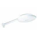 Ver imagem 1 de Plena Ducha com Braço Gran Ducha 8" polegadas Branca Tigre