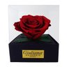 Rosa Encantada Vermelha Giuliana Flores - 1