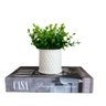 Livro decorativo 'Casa' e vaso branco de cerâmica trabalhado - 1